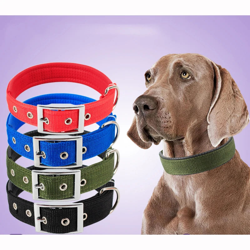 Durable Dog Collars for Small Medium and Large Dogs S - XXL