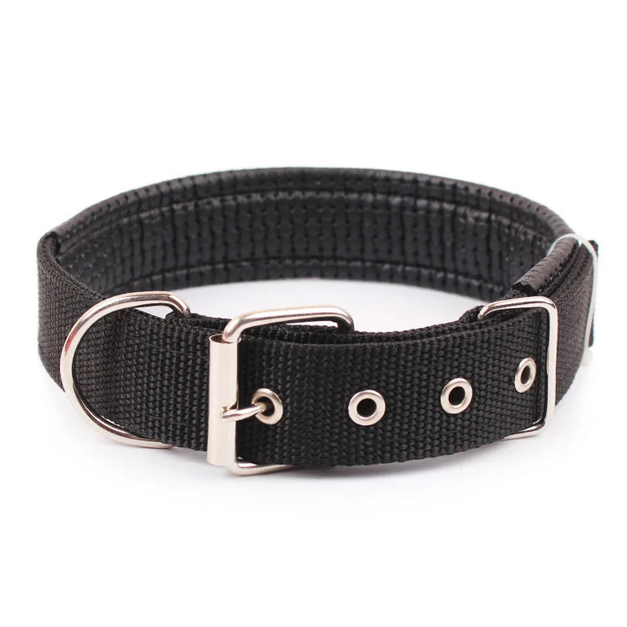 Durable Dog Collars for Small Medium and Large Dogs S - XXL