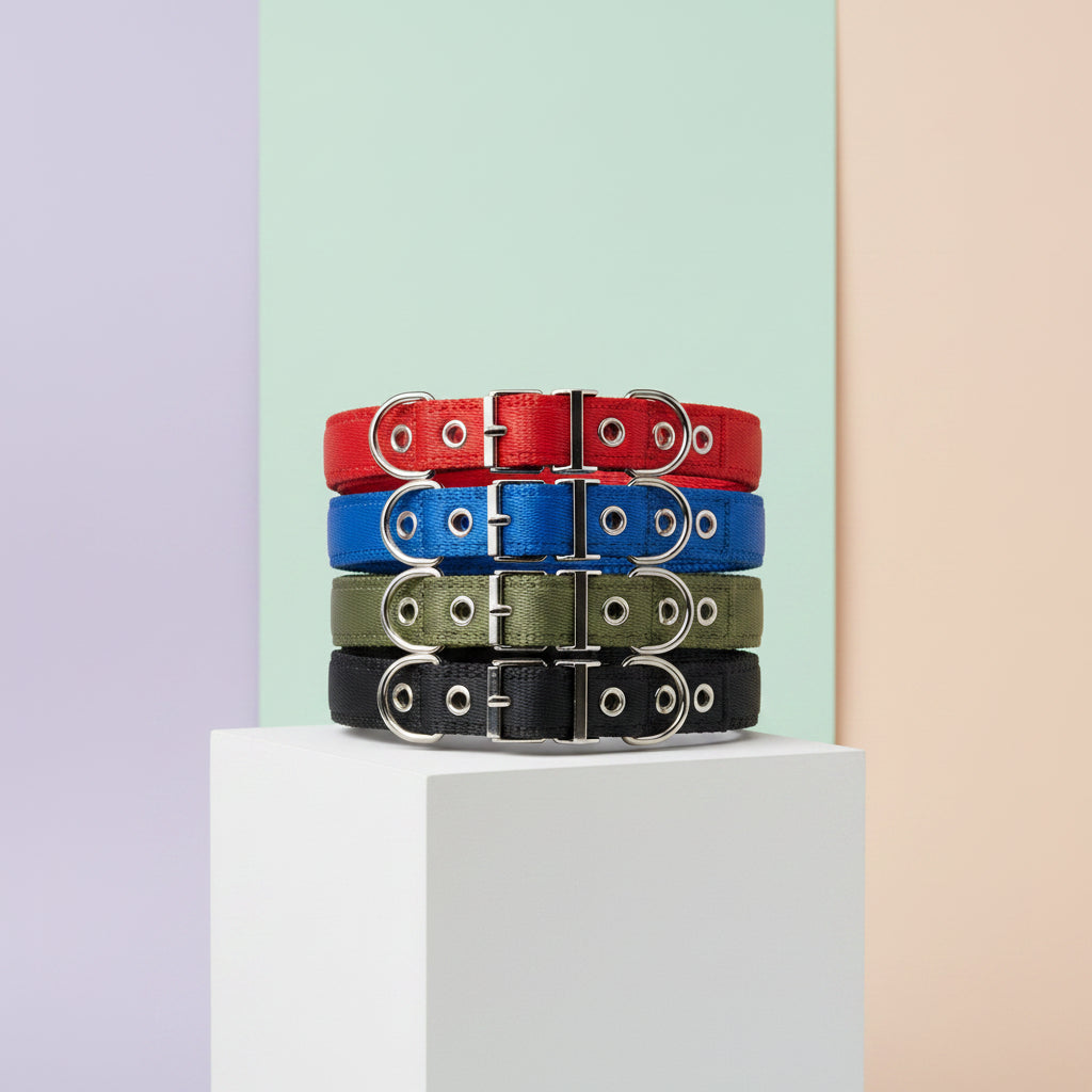 Durable Dog Collars for Small Medium and Large Dogs S - XXL
