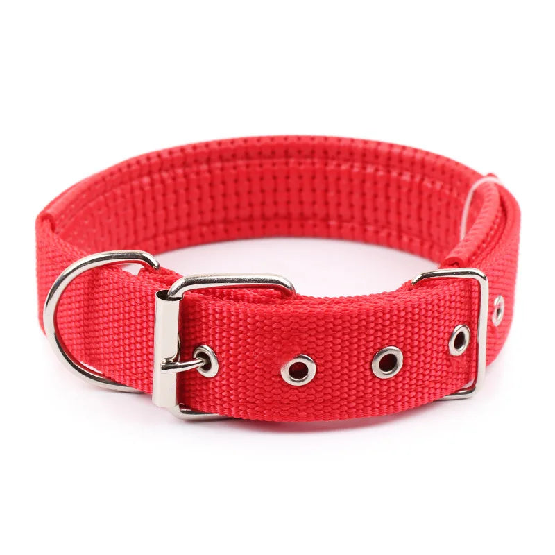 Durable Dog Collars for Small Medium and Large Dogs S - XXL