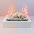 Flannel Thickened Pet Bed with Body Heat Warmth Insulation