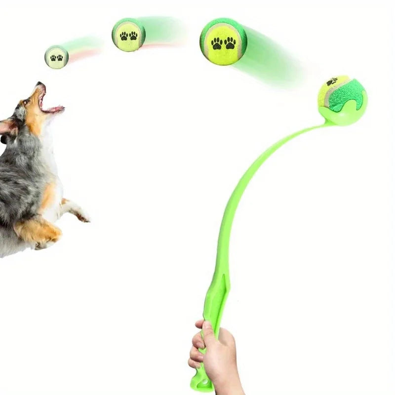 Pet Ball Fetch Throwing and Grabbing Stick
