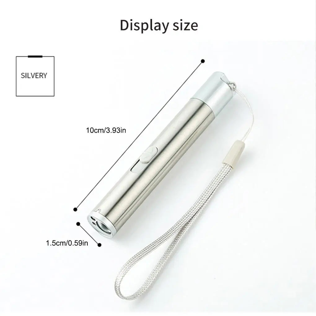 Cat Training Toy Laser Pointer with USB Charging