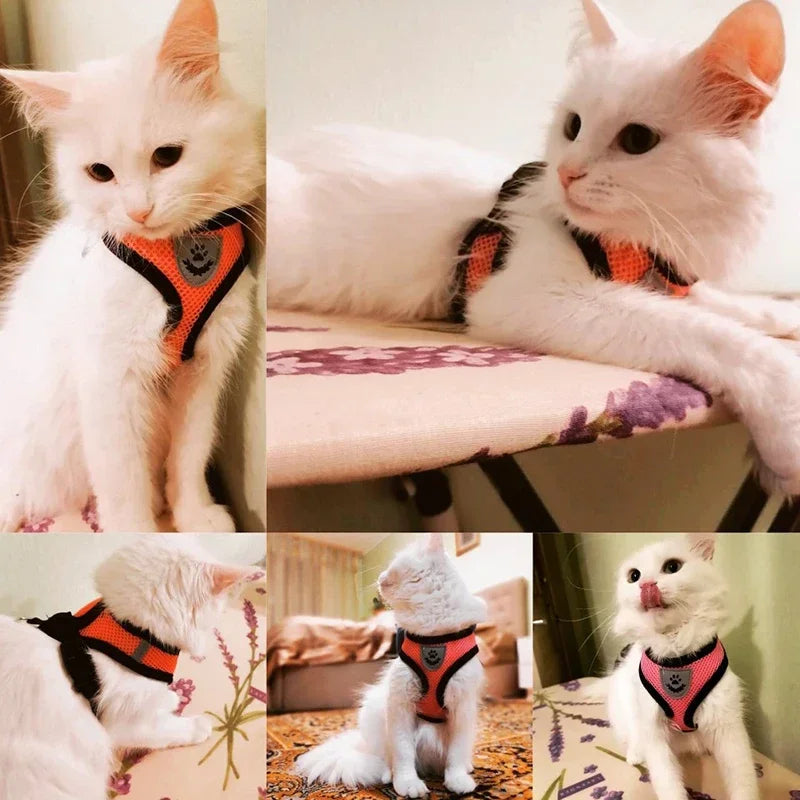 Cat Mesh Harness Vest and Leash Adjustable