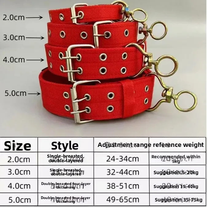 Wide Heavy Duty Dog Collar, Double-Row Stitching Padded Collar with Metal Buckle
