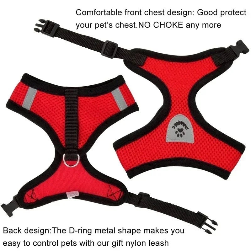 Cat Mesh Harness Vest and Leash Adjustable