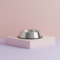 Premium Stainless Steel Round Pet Bowl Anti-tip