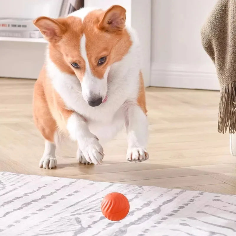 Automatic Moving Pet Ball Interactive Toy USB Charging
