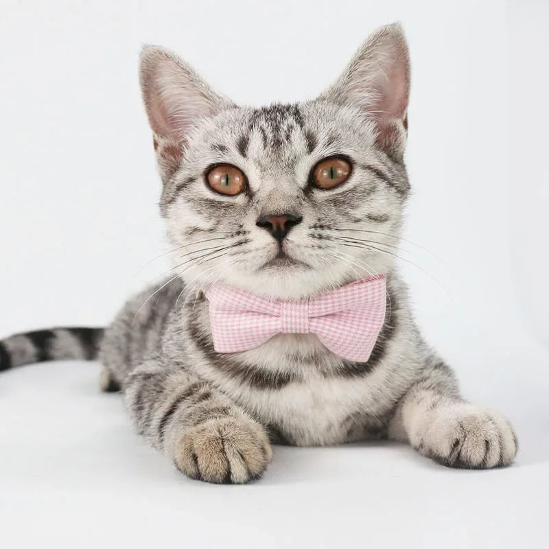 Adjustable Cat Collar with Bow Tie