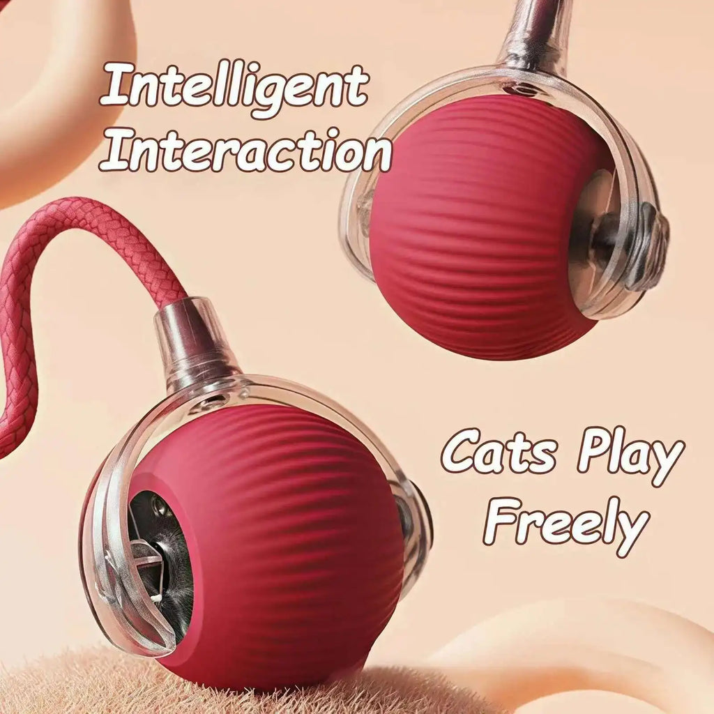 Smart Dog Interactive Ball Automatic Rolling Ball Toy Rechargeable with Durable Rope