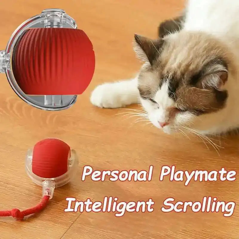 Smart Dog Interactive Ball Automatic Rolling Ball Toy Rechargeable with Durable Rope
