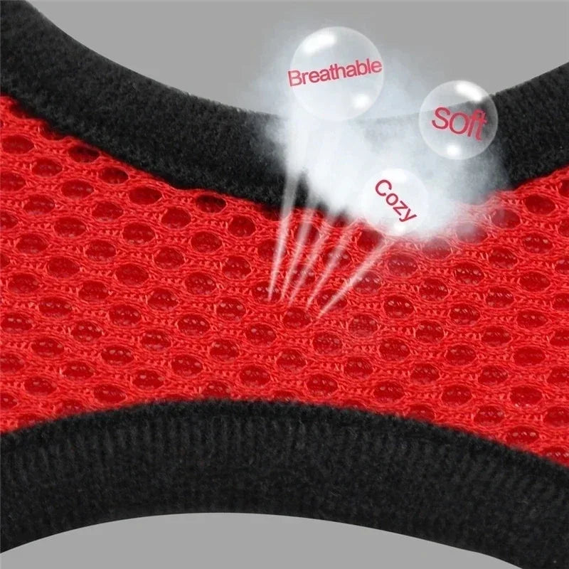 Cat Mesh Harness Vest and Leash Adjustable