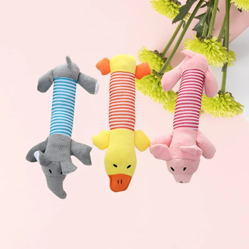 Durable Plush Chew Dog Squeak Toy for Teeth Heath