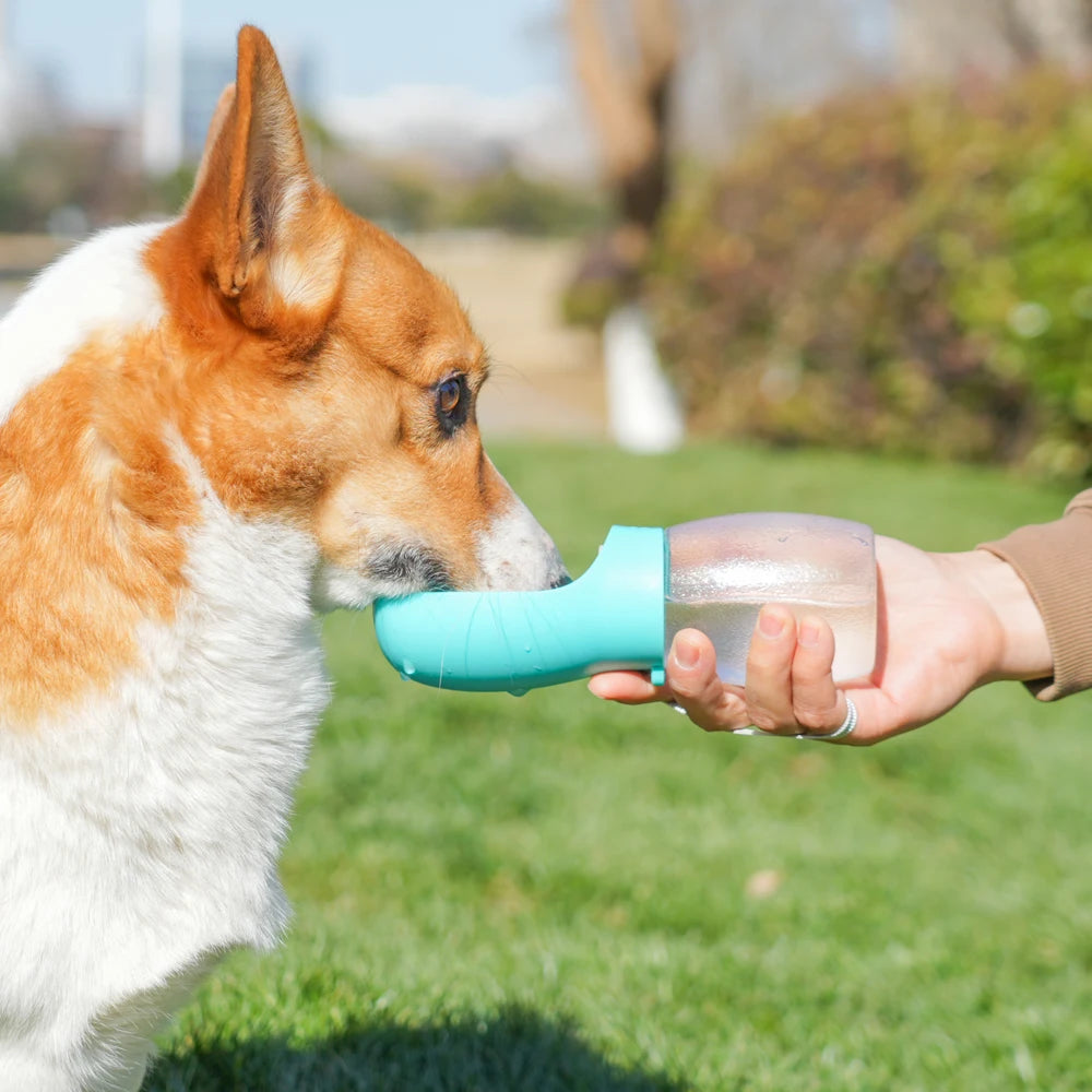 Pet Travel Water Bottle 300ML