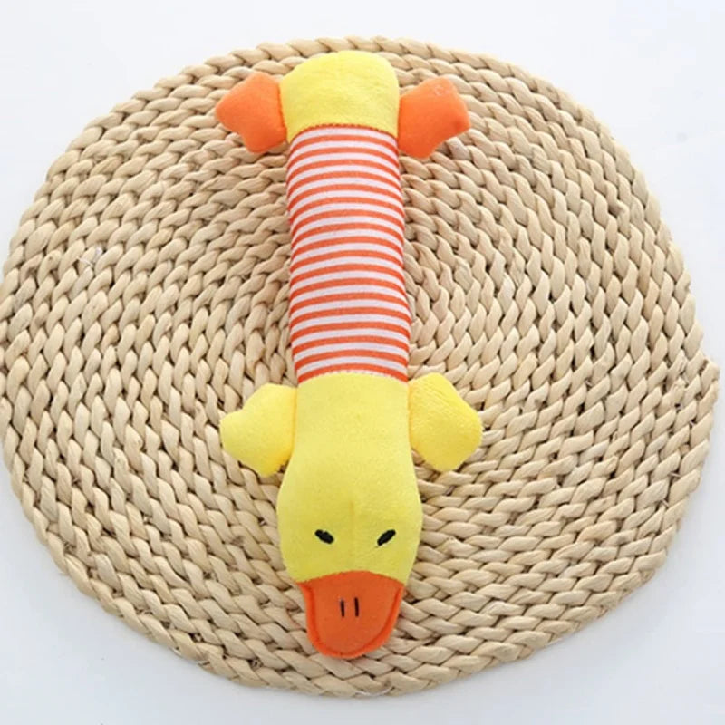 Durable Plush Chew Dog Squeak Toy for Teeth Heath