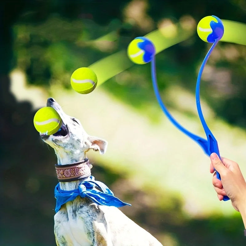 Pet Ball Fetch Throwing and Grabbing Stick