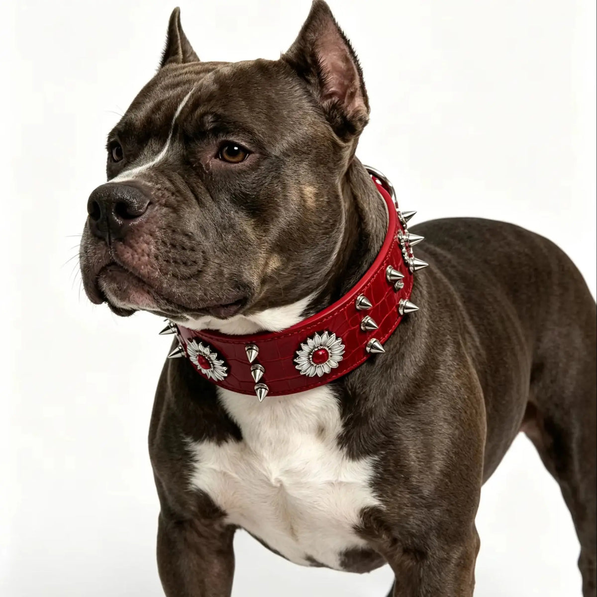 Riveted Punk Style Fashion Red Heavy Duty Large Dog Collar