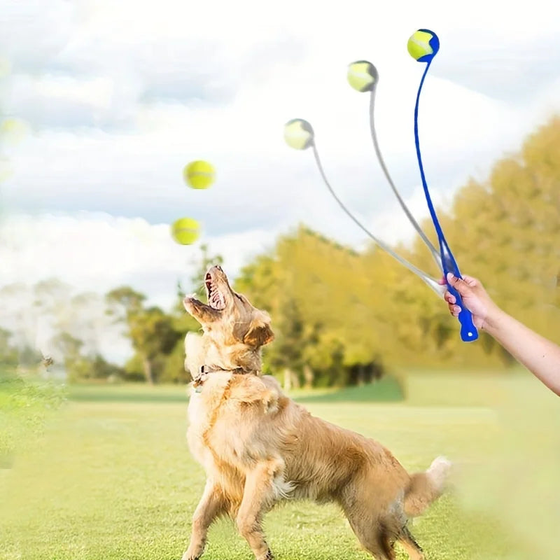Pet Ball Fetch Throwing and Grabbing Stick
