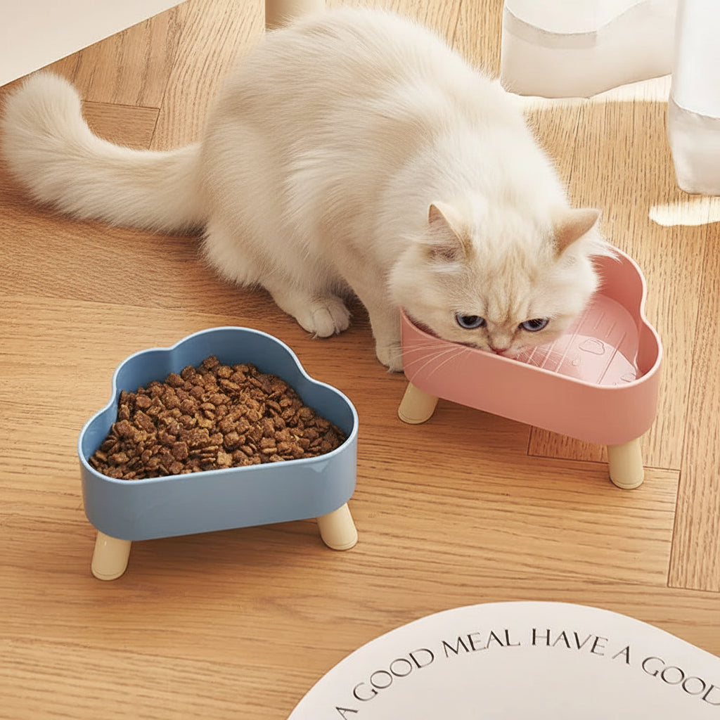 Elevated Cloud Shaped Pet Bowl Basin Easy Clean