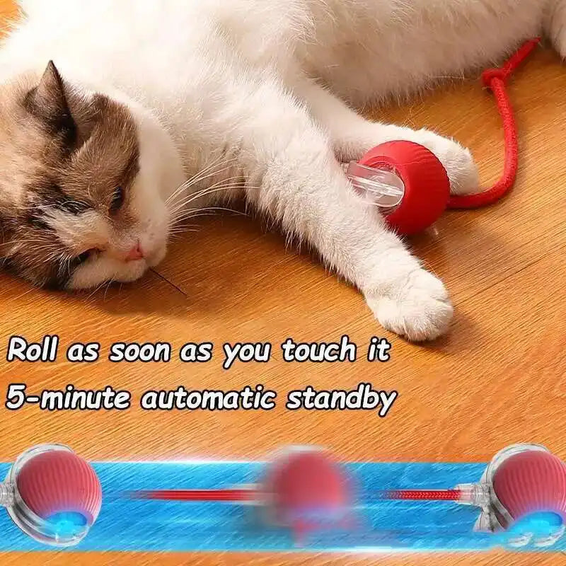 Smart Dog Interactive Ball Automatic Rolling Ball Toy Rechargeable with Durable Rope