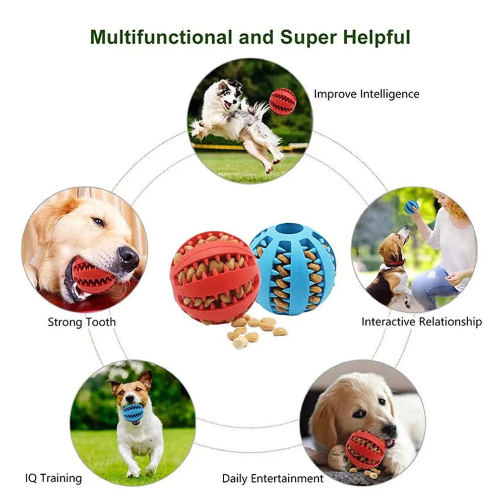 Interactive Dry Food Rubber Ball Toy for Dogs and Cats