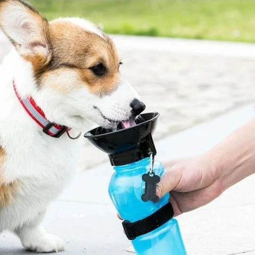 500ml Portable Pet Water Bottle