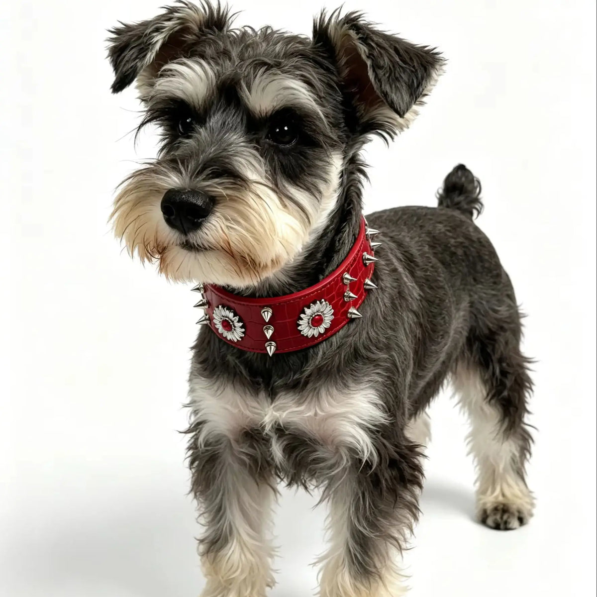 Riveted Punk Style Fashion Red Heavy Duty Large Dog Collar